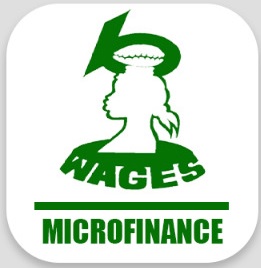 MICROFINANCE WAGES 