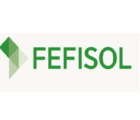 FEFISOL